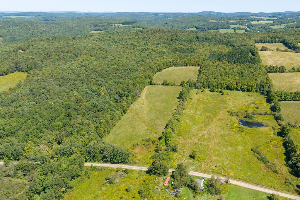 Lot 3 Warren Road Treadwell, NY 13846 - Photo 4 of 7