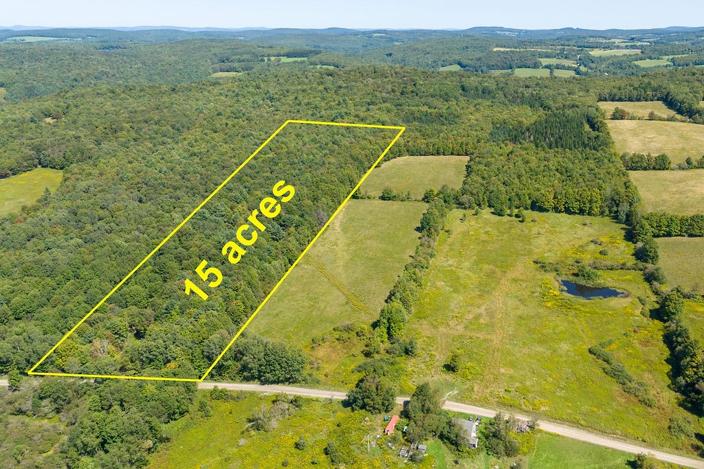 Lot 3 Warren Road Treadwell, NY 13846 - Photo 5 of 7