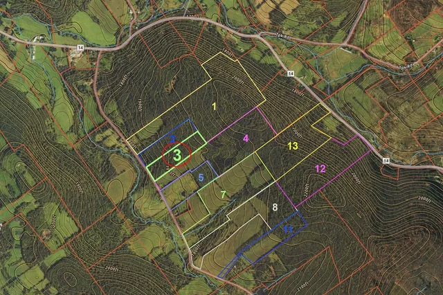 $80,000 | Lot 3 Warren Road, Treadwell, NY 13846