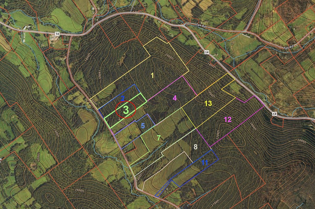 Lot 3 Warren Road Treadwell, NY 13846 - Photo 7 of 7