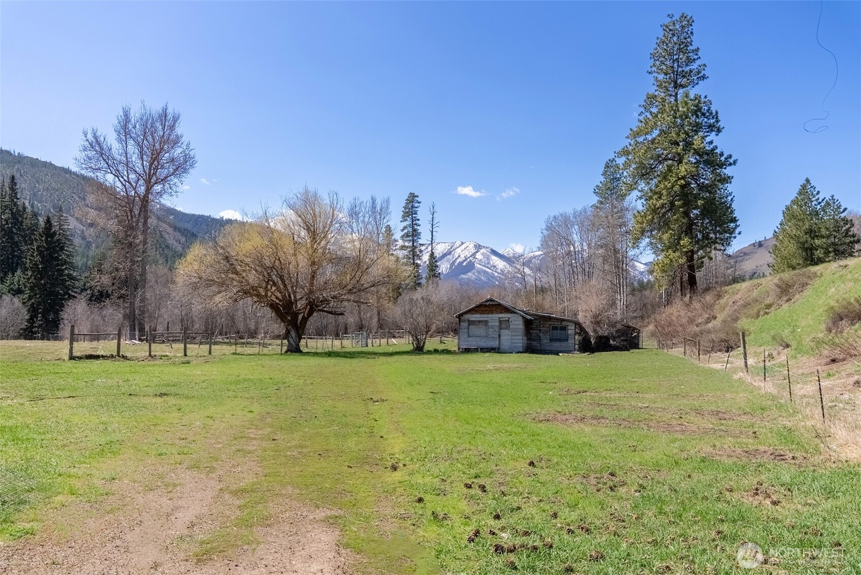 929 A Twisp River Road Twisp, WA 98856 - Photo 7 of 19 a view of a big yard with palm trees