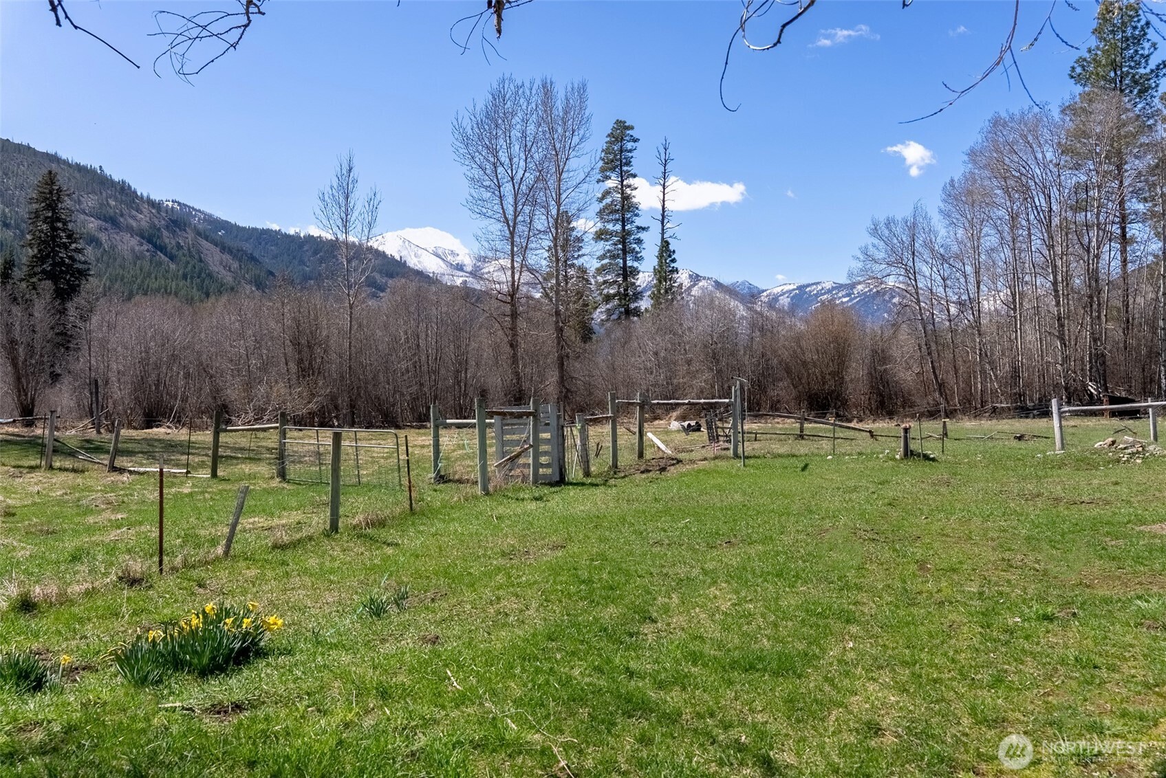 929 A Twisp River Road Twisp, WA 98856 - Photo 9 of 19 a view of a backyard
