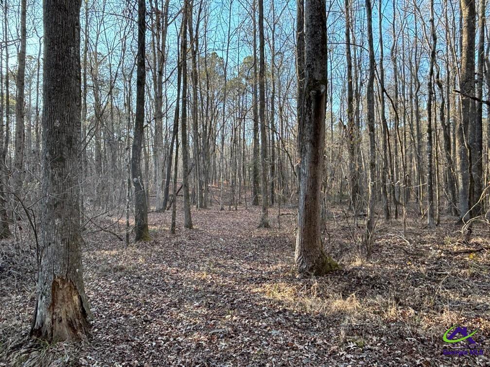 1351 Dixon Road Roberta, GA 31078 - Photo 14 of 26