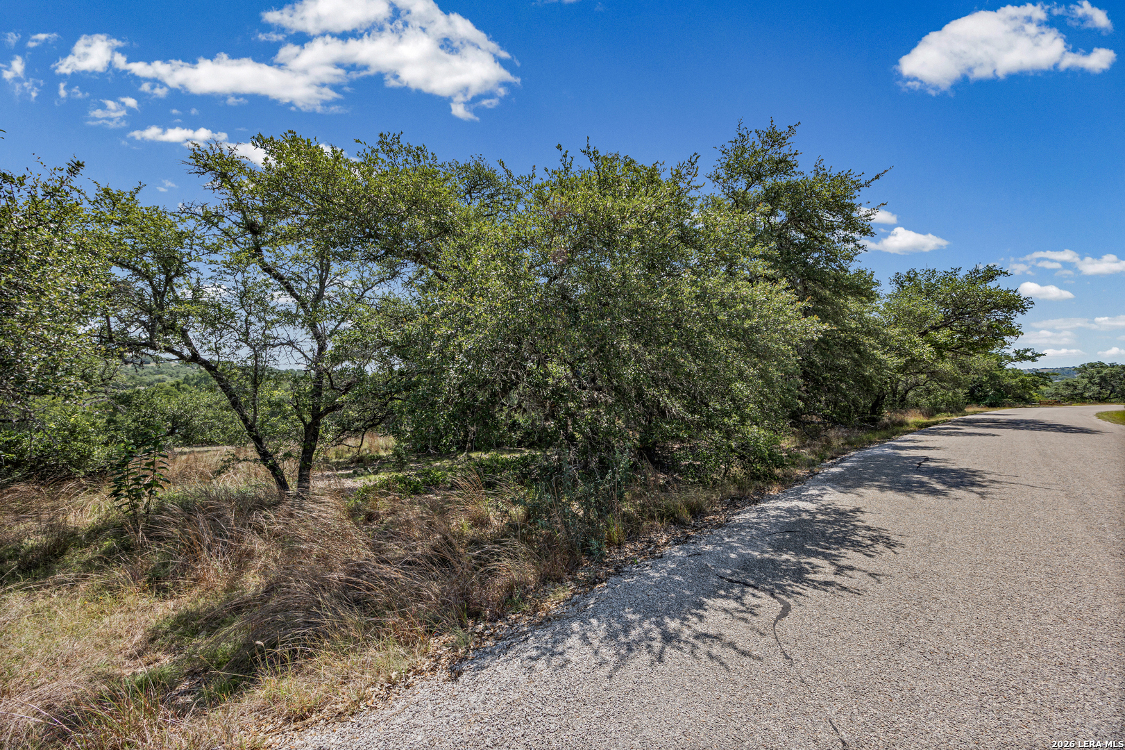 1364 North Walnut Springs Road Johnson City, TX 78636 - Photo 16 of 42