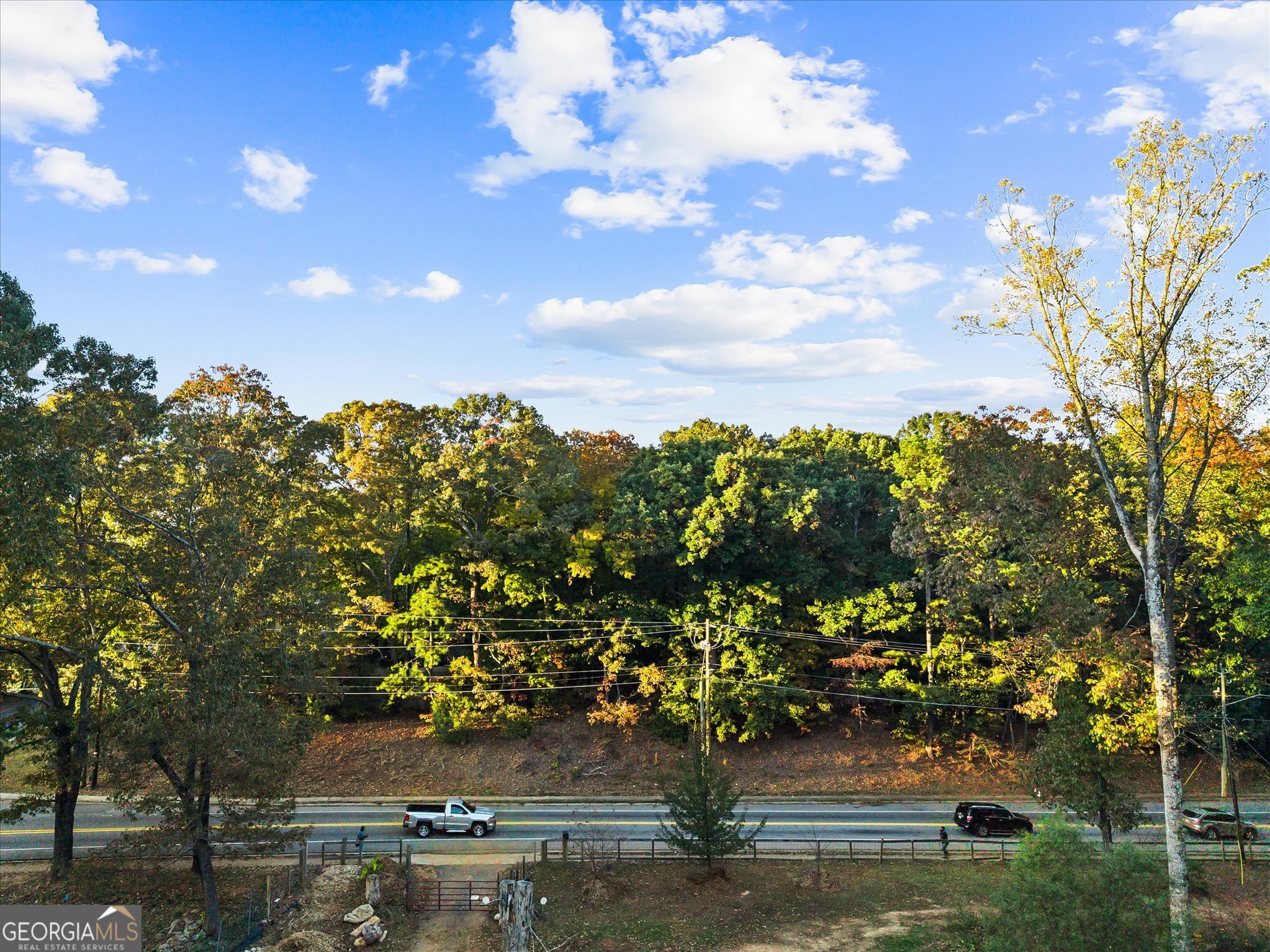 a view of a lake with a tree