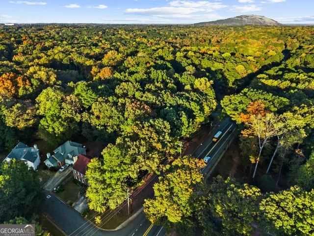 a view of a bunch of flowers