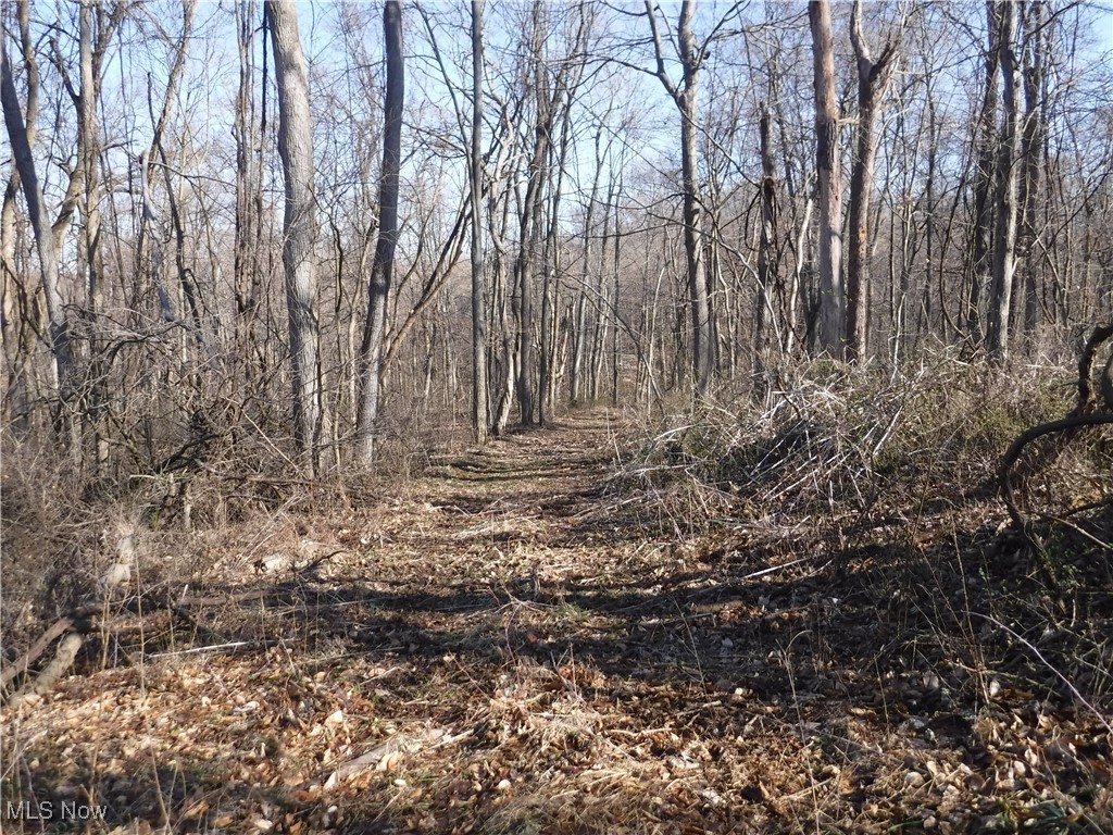 3680 Flint Ridge Road Hopewell, OH 43746 - Photo 29 of 50 Trails mean easy access to every part of this 108 acre farm.