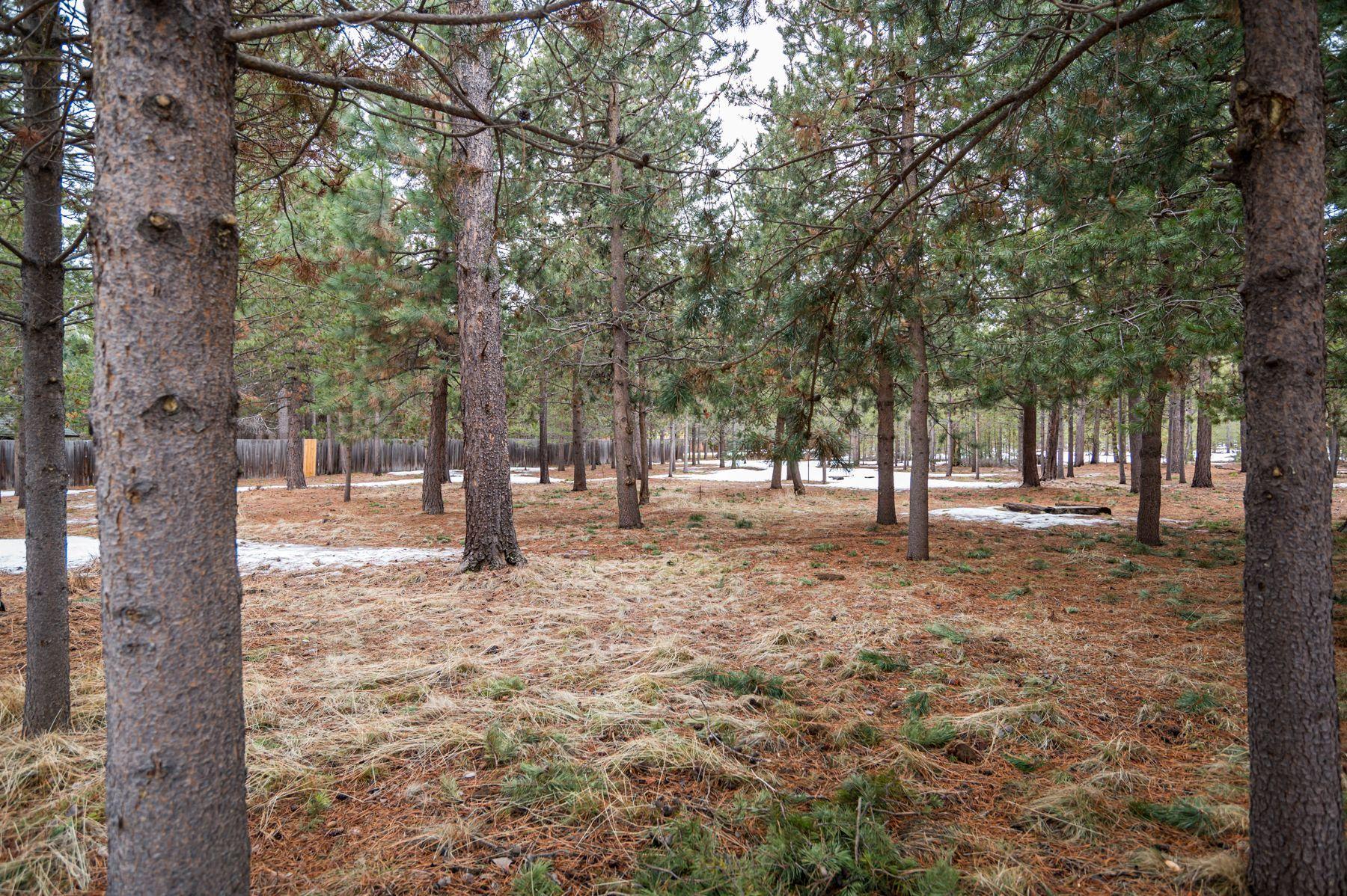 56716 Spring River Loop Bend, OR 97707 - Photo 41 of 52 Rear yard beyond fence