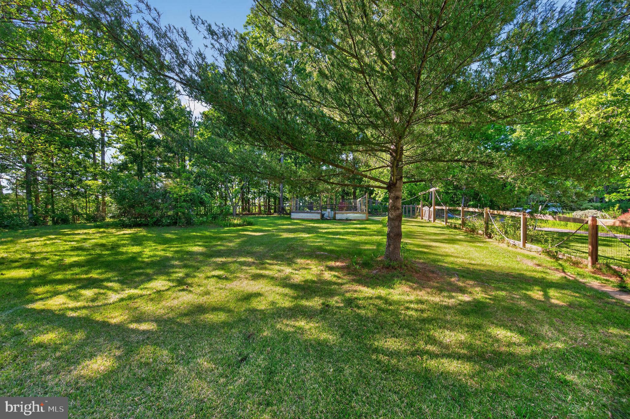 1980 Double Church Road Stephens City, VA 22655 - Photo 29 of 71