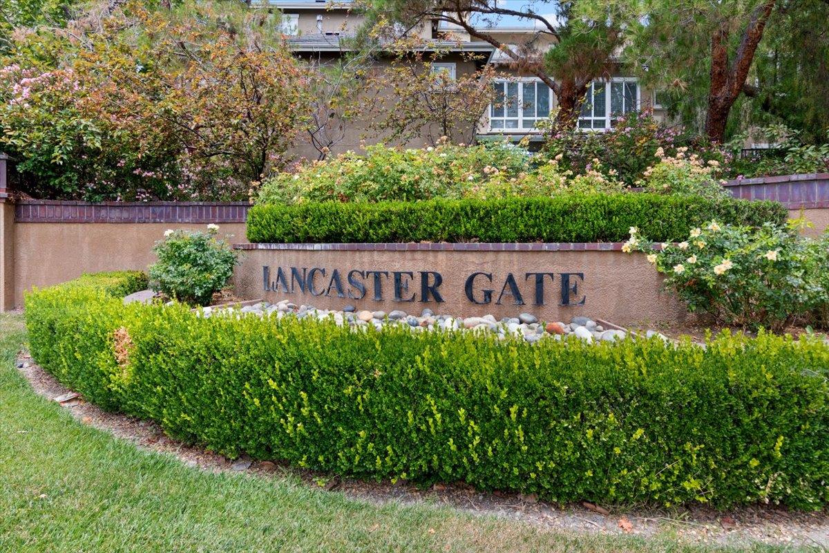 467 Whitechapel Avenue San Jose, CA 95136 - Photo 34 of 34 a view of outdoor space with garden and plants