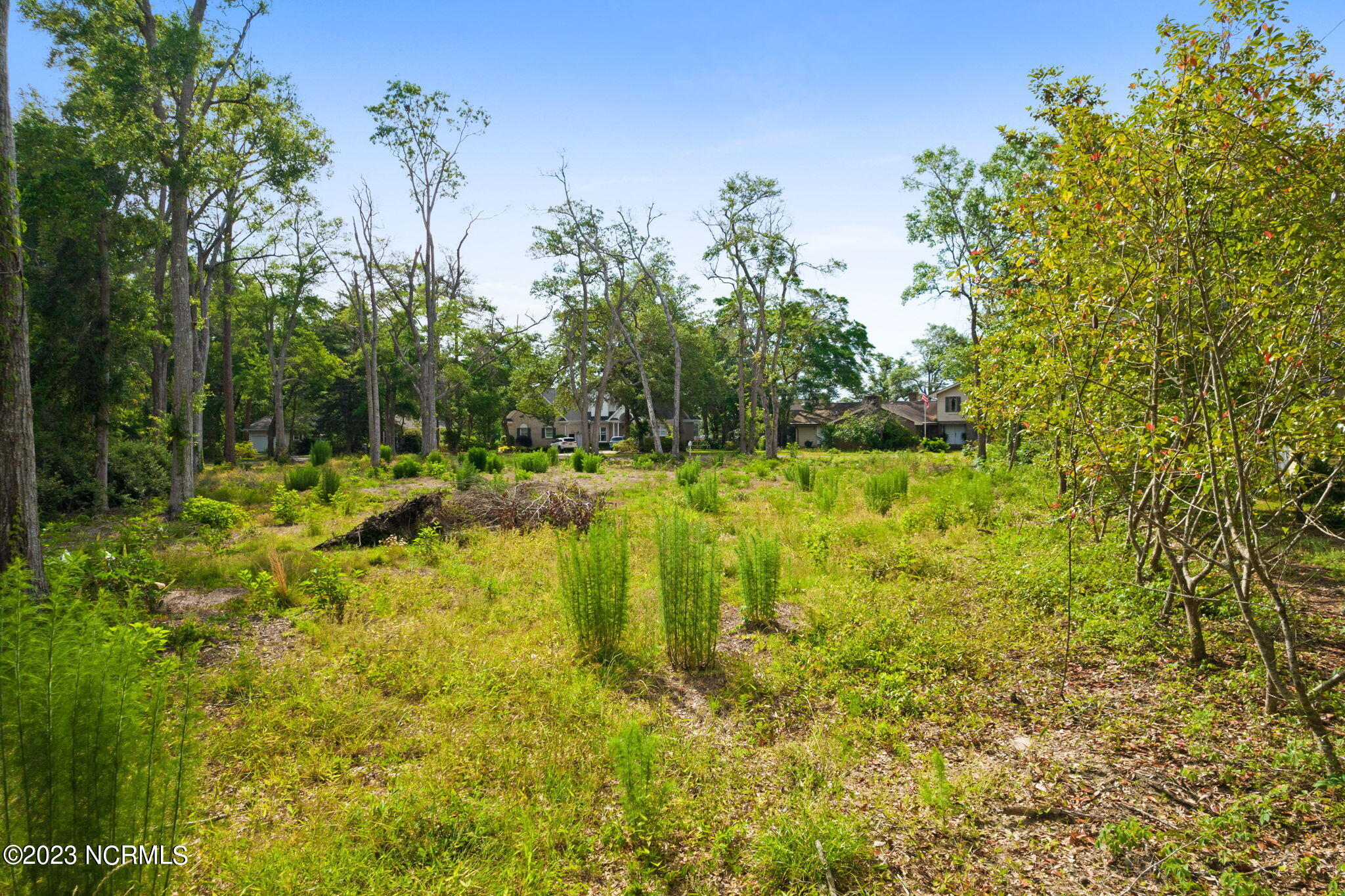 6702 Roberta Road Southwest Ocean Isle Beach, NC 28469 - Photo 9 of 21 lot