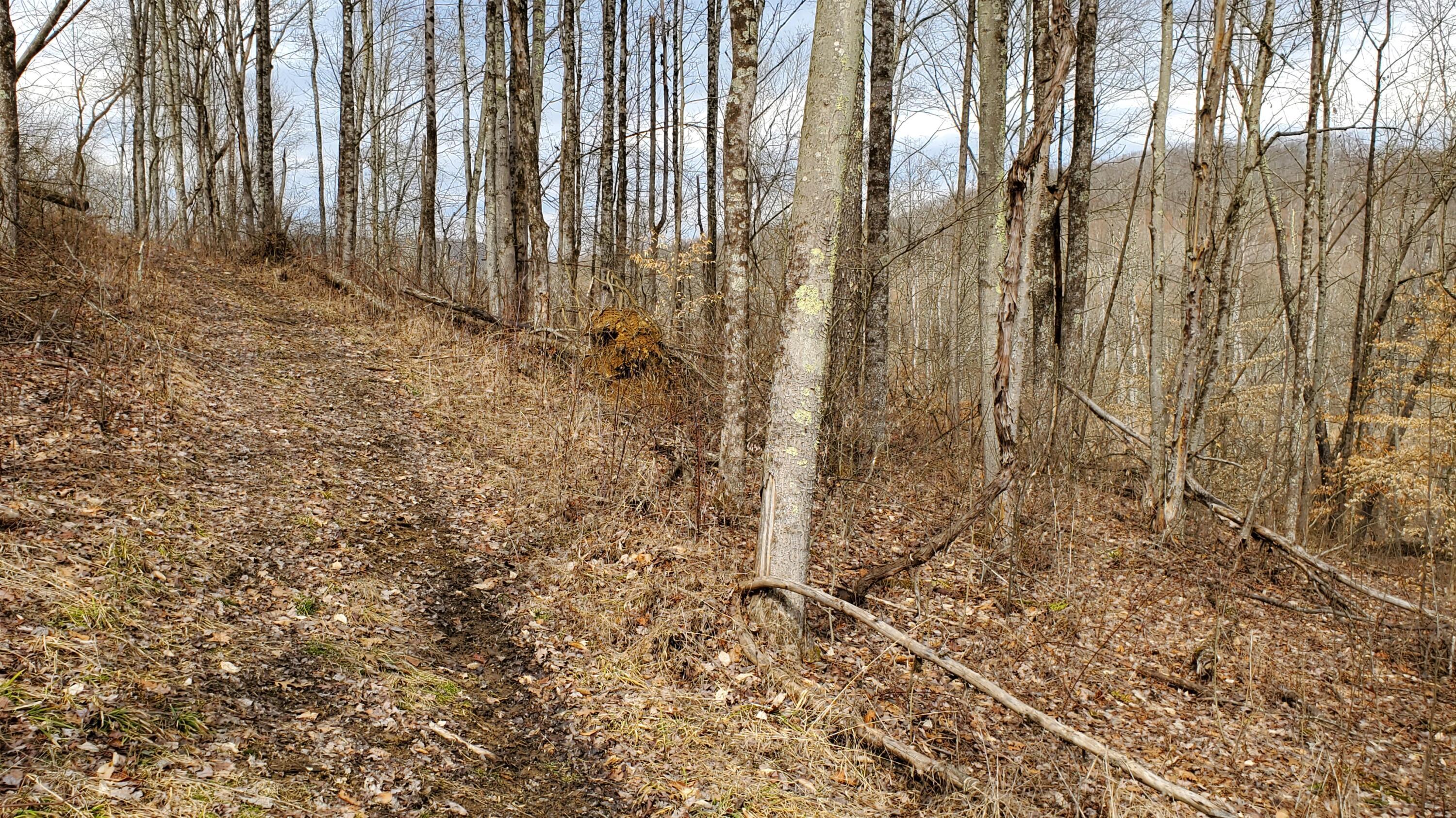 6870 Crane Run Road Cumberland, OH 43732 - Photo 44 of 49 20250226_125652