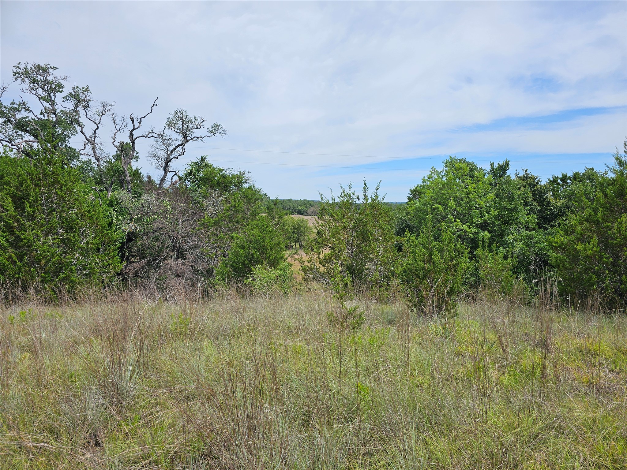580 East 0123 Kempner, TX 76539 - Photo 6 of 15 A tranquil, verdant landscape invites peaceful contemplation and connection with nature.