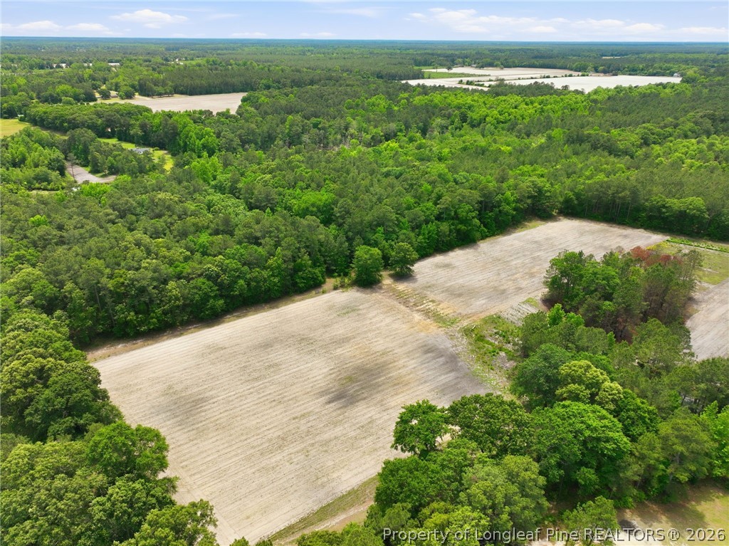 10400 Ruth Vinson Road Autryville, NC 28318 - Photo 11 of 49 a view of a field with a houses