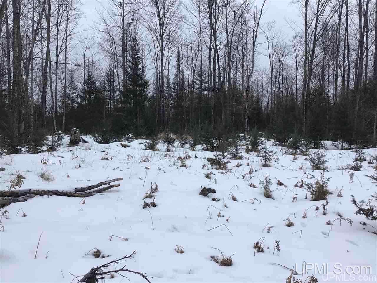 Tbd Swamp Road Powers, MI 49874 - Photo 3 of 30