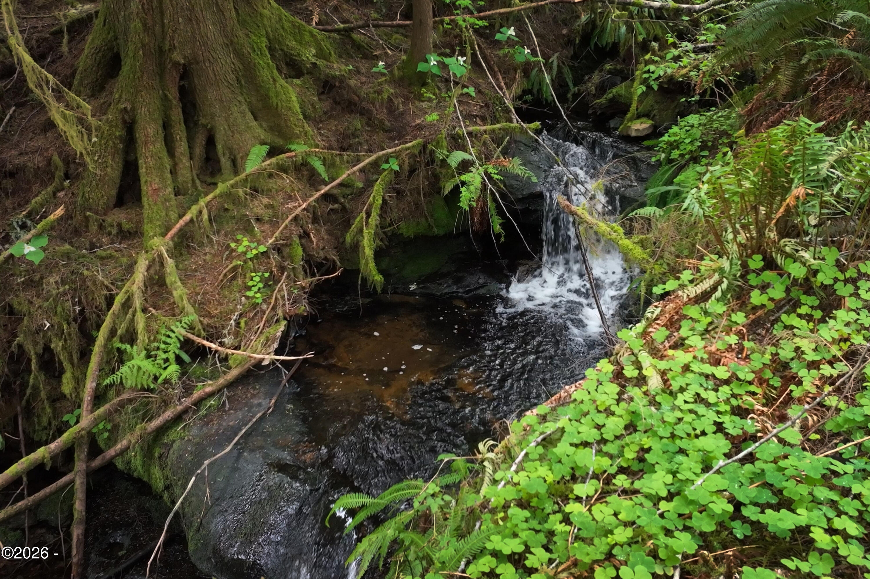 4110 Logsden Road Siletz, OR 97380 - Photo 40 of 52 Private Creek/Waterfall