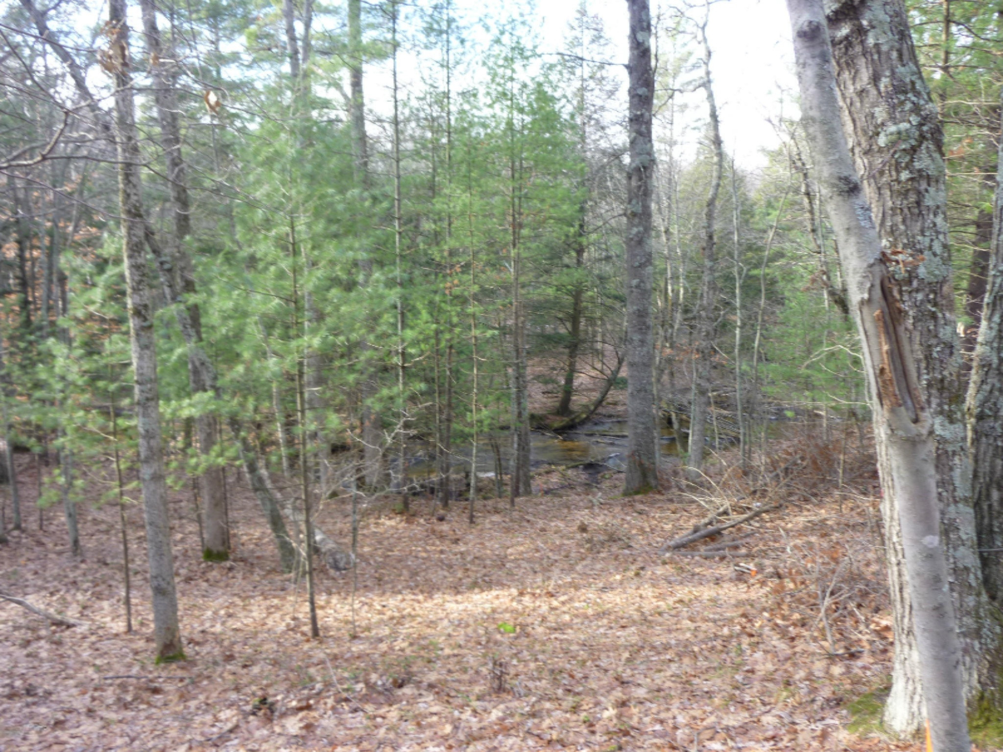 9210 South 124th Avenue Rothbury, MI 49452 - Photo 1 of 8 9210 Sand Creek frontage
