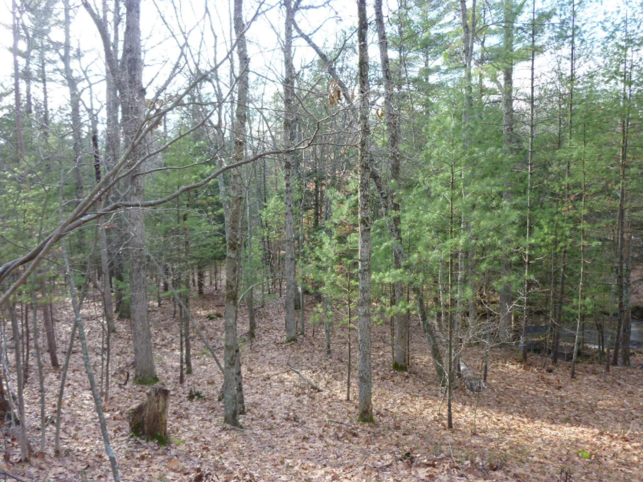 9210 South 124th Avenue Rothbury, MI 49452 - Photo 2 of 8 6210 Creek again