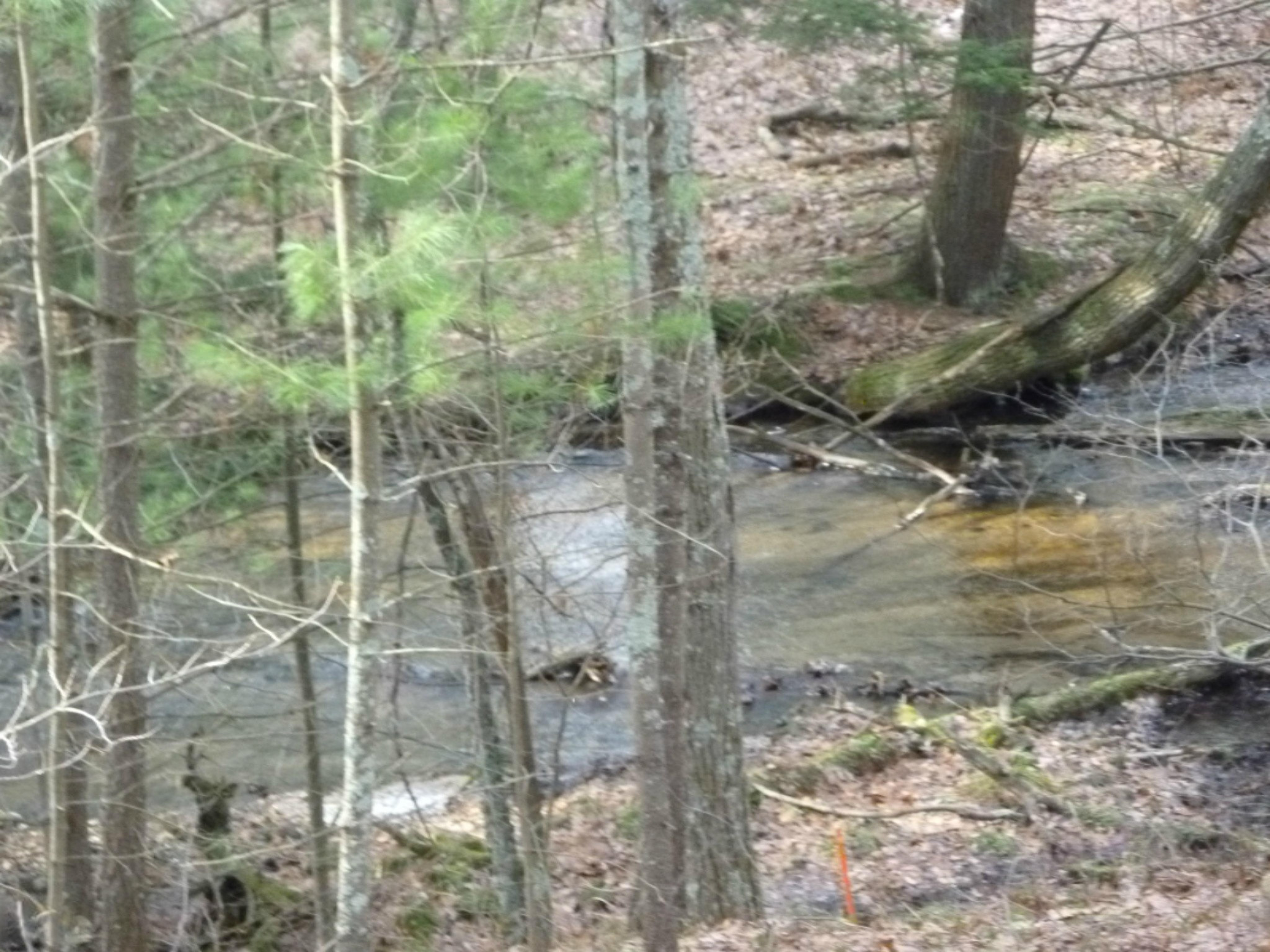 9210 South 124th Avenue Rothbury, MI 49452 - Photo 5 of 8 9210 Sand Creek
