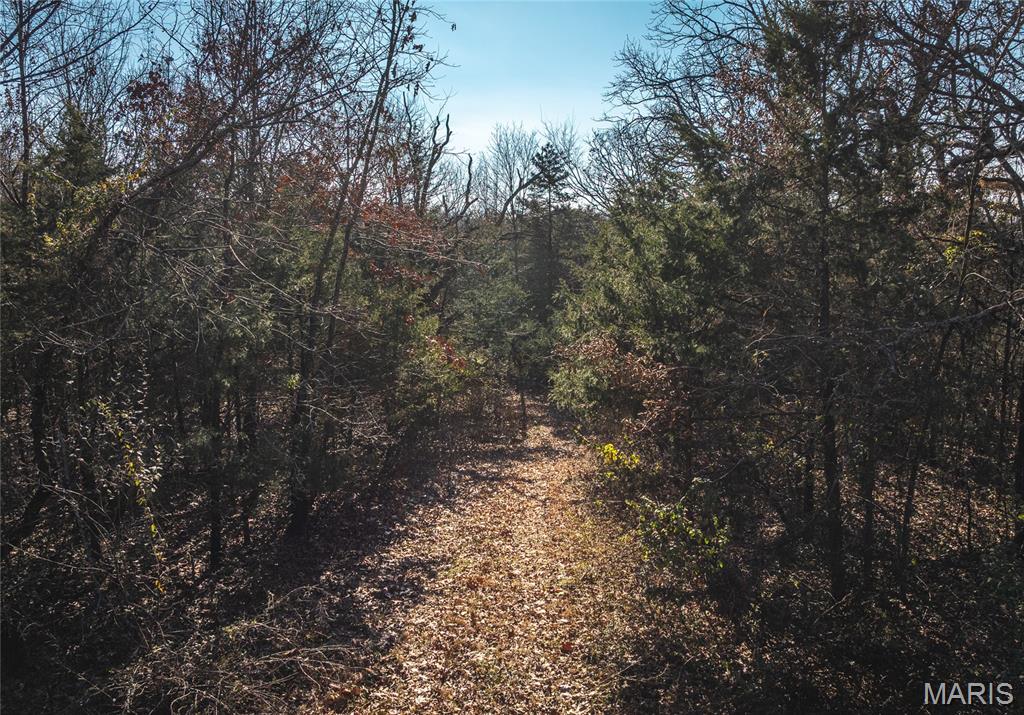 13365 County Road 5110 Rolla, MO 65401 - Photo 37 of 53