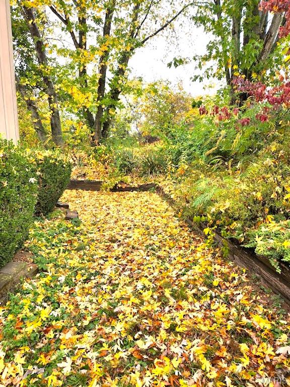 13365 County Road 5110 Rolla, MO 65401 - Photo 49 of 53