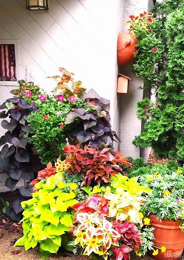 13365 County Road 5110 Rolla, MO 65401 - Photo 50 of 53