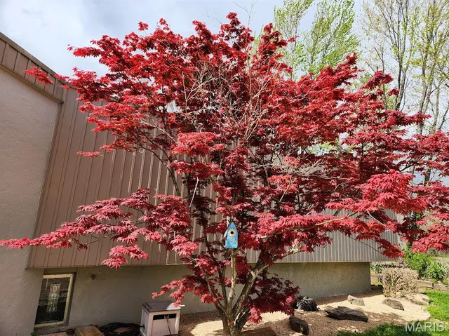 $400,000 | 13365 County Road 5110, Rolla, MO 65401