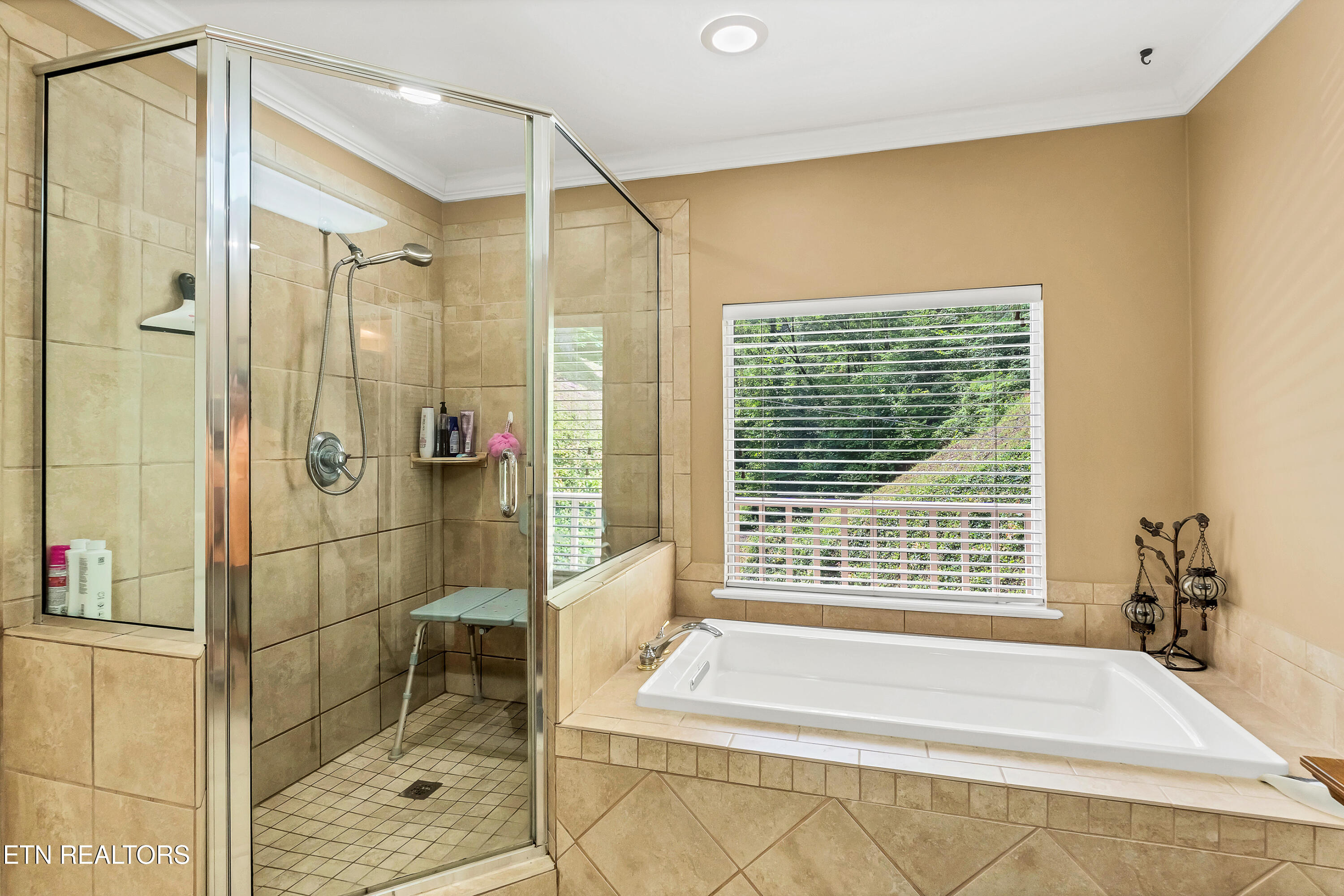 584 Bethel Church Road Townsend, TN 37882 - Photo 22 of 47 Master Bath