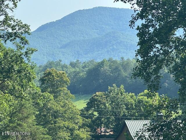 584 Bethel Church Road Townsend, TN 37882 - Photo 5 of 47 View