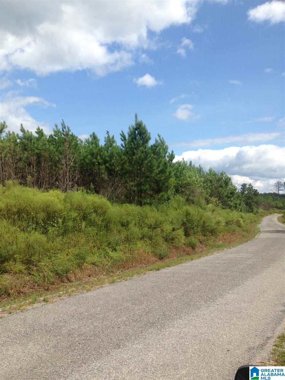 1033 Crossover Road, Unit 18 ACRES Cropwell, AL 35054 - Photo 5 of 10