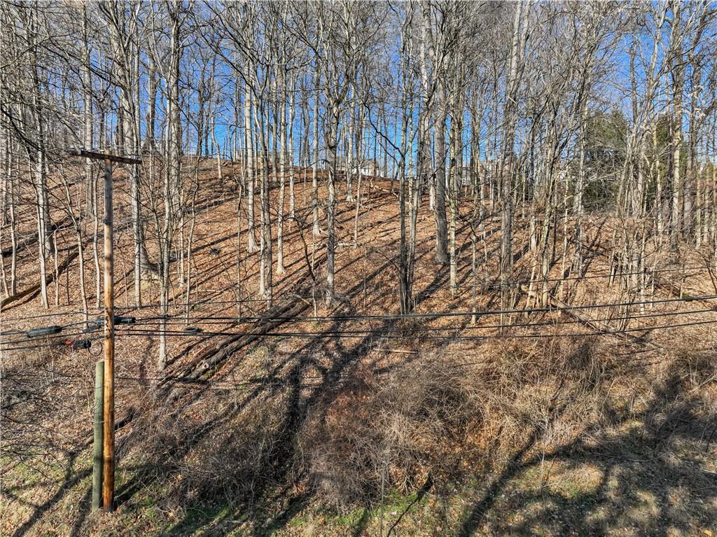 0 Linden Creek Road Canonsburg, PA 15317 - Photo 6 of 16