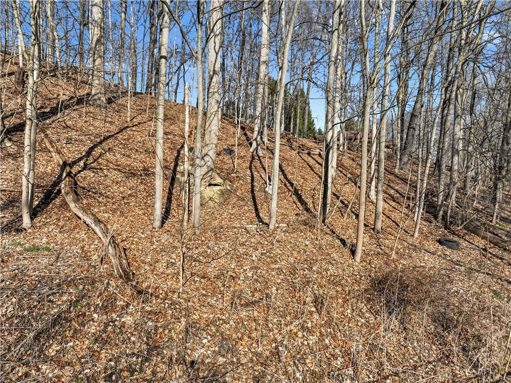 0 Linden Creek Road Canonsburg, PA 15317 - Photo 7 of 16