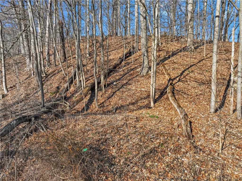 0 Linden Creek Road Canonsburg, PA 15317 - Photo 9 of 16