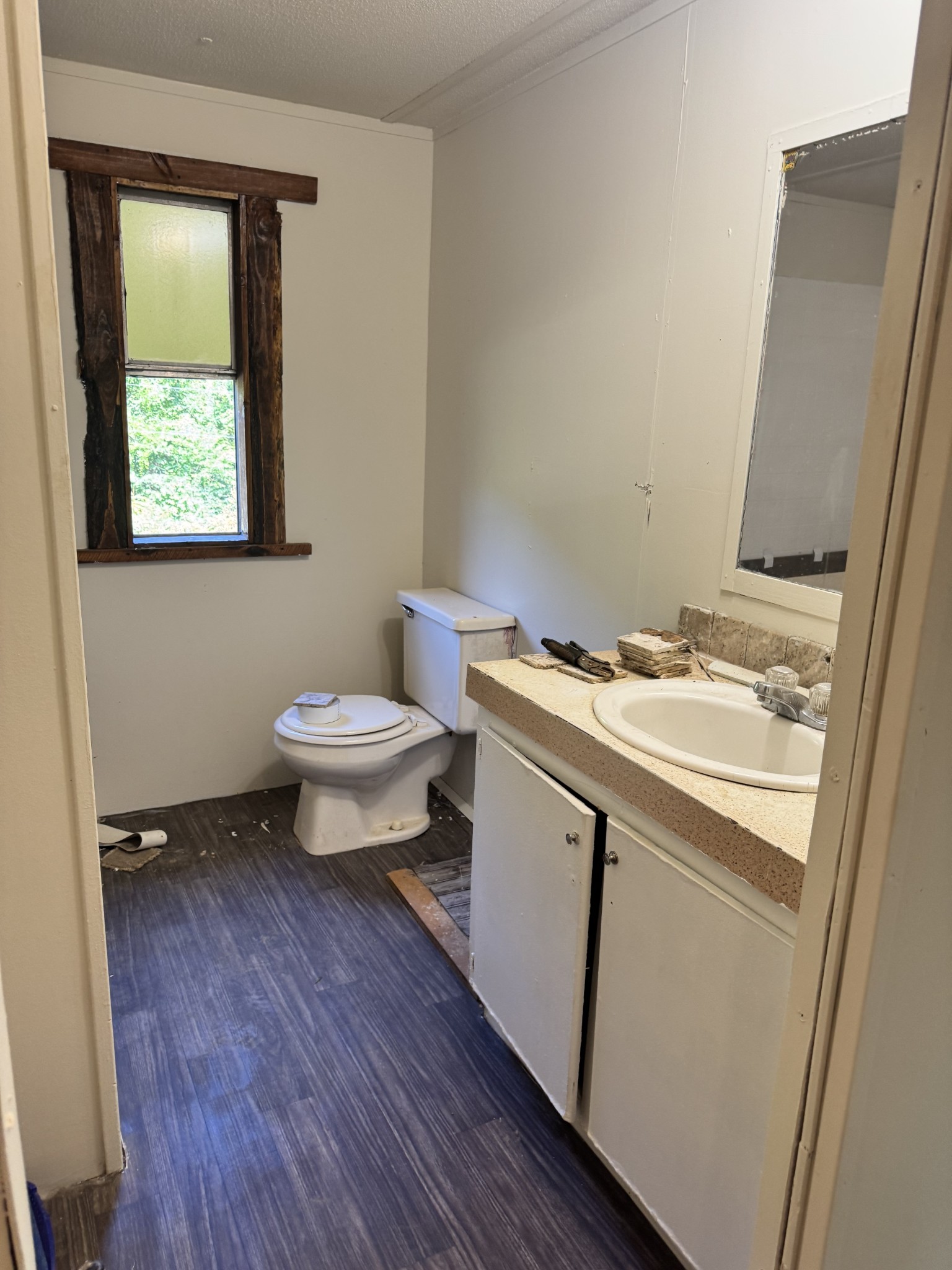 43 Dog Branch Road Pleasant Shade, TN 37145 - Photo 6 of 6 a bathroom with a sink a toilet and a mirror