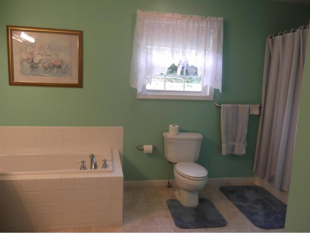 90 Fairview Road Afton, TN 37616 - Photo 8 of 22 Master Bath