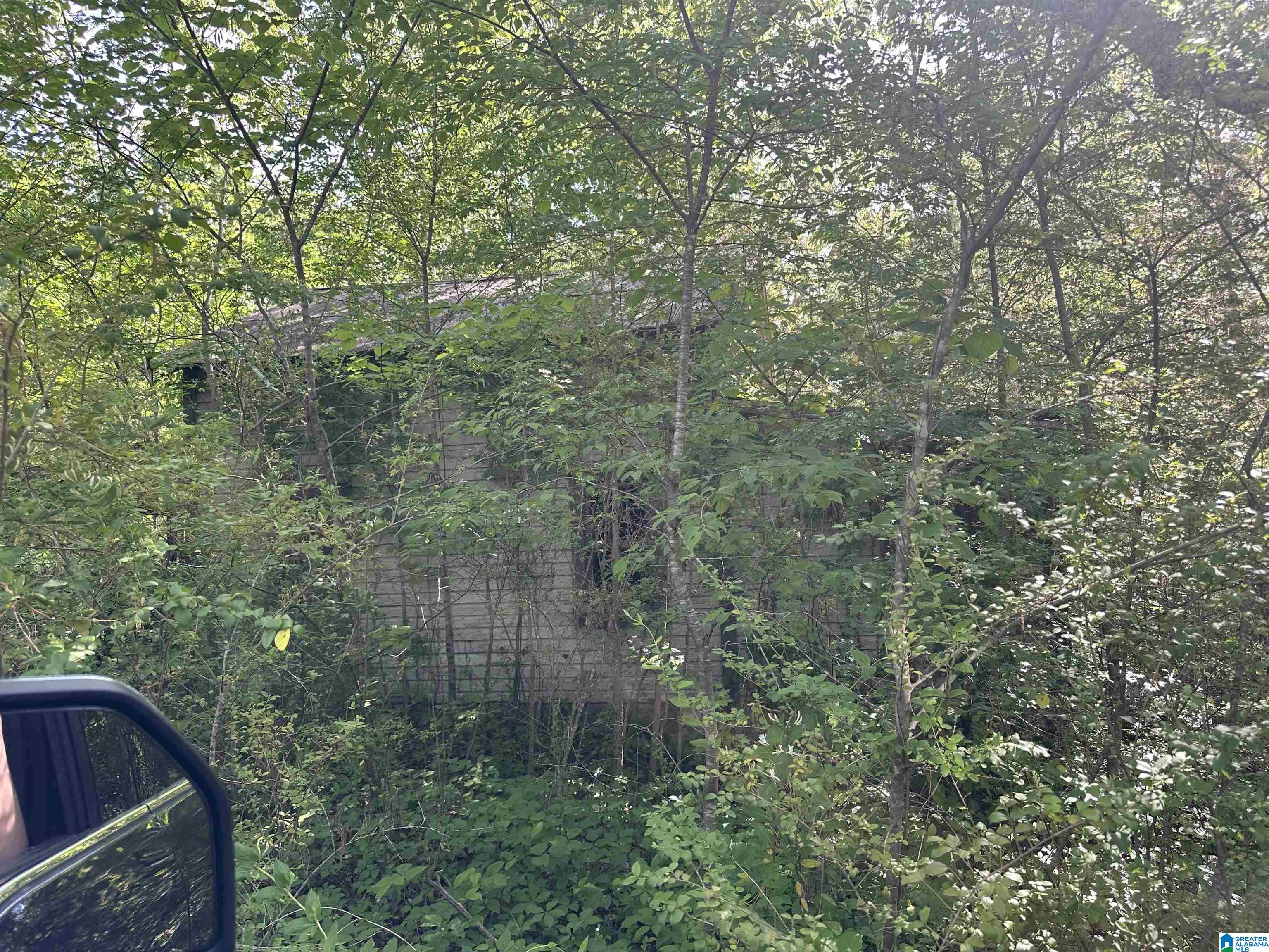 1251 Union Grove Road Adamsville, AL 35005 - Photo 1 of 1