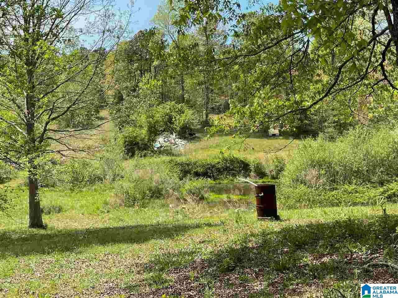 4445 County Road 25 Heflin, AL 36264 - Photo 43 of 49