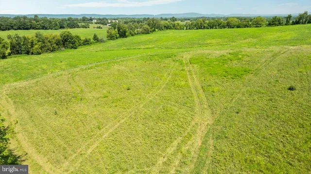 a view of a big yard with an outdoor space