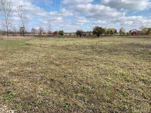 Five North Five Lakes Road Attica, MI 48412 - Photo 2 of 9 IMG_1369.jpg