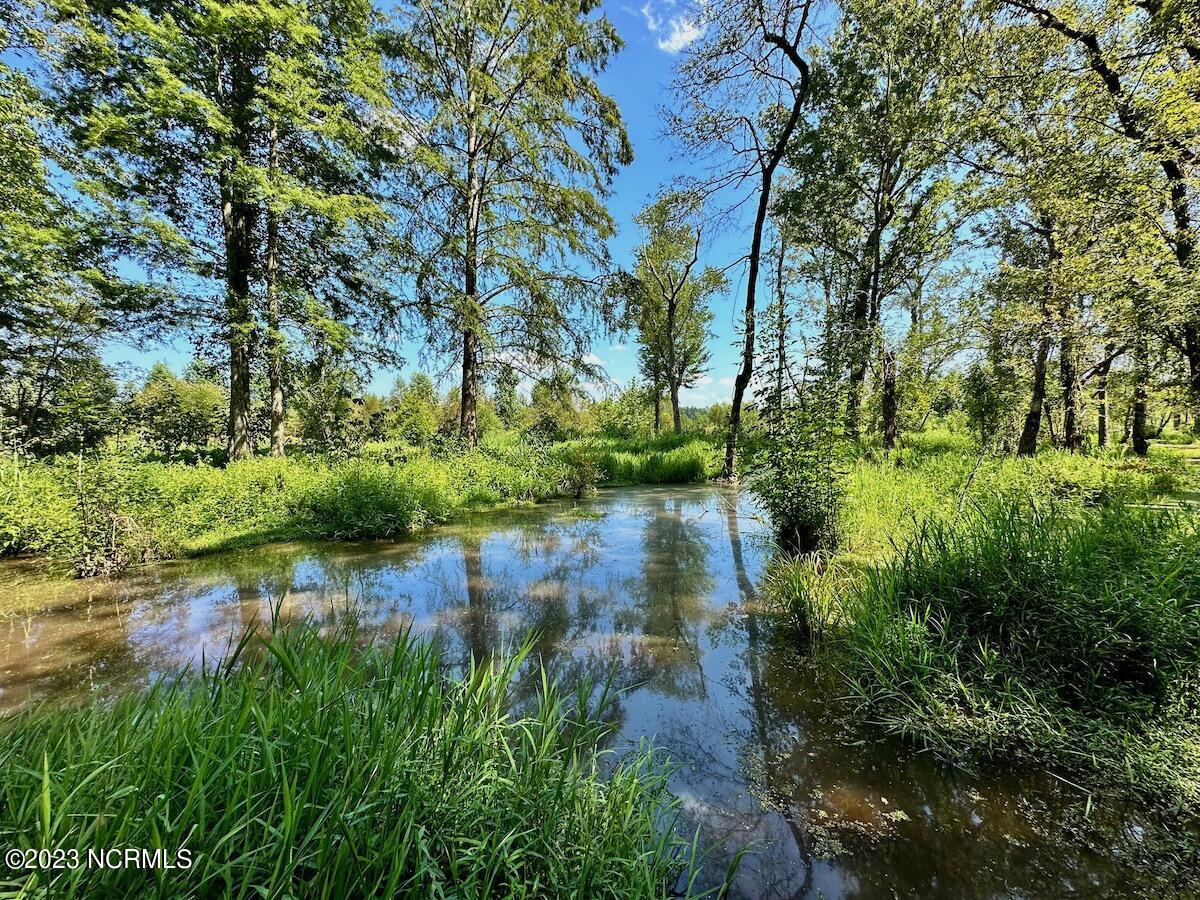0 Hargraves Road Jackson, NC 27845 - Photo 23 of 50 22
