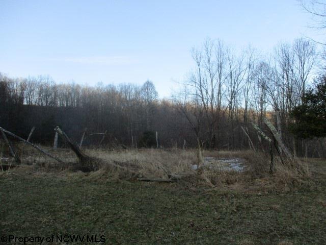3465 Kedron Road Buckhannon, WV 26201 - Photo 19 of 19 Gallery Image 19