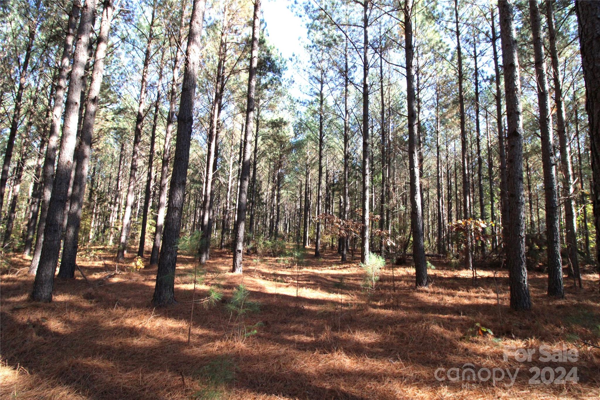 7-ac Lot 1 7-ac Road Clover, SC 29710 - Photo 2 of 7