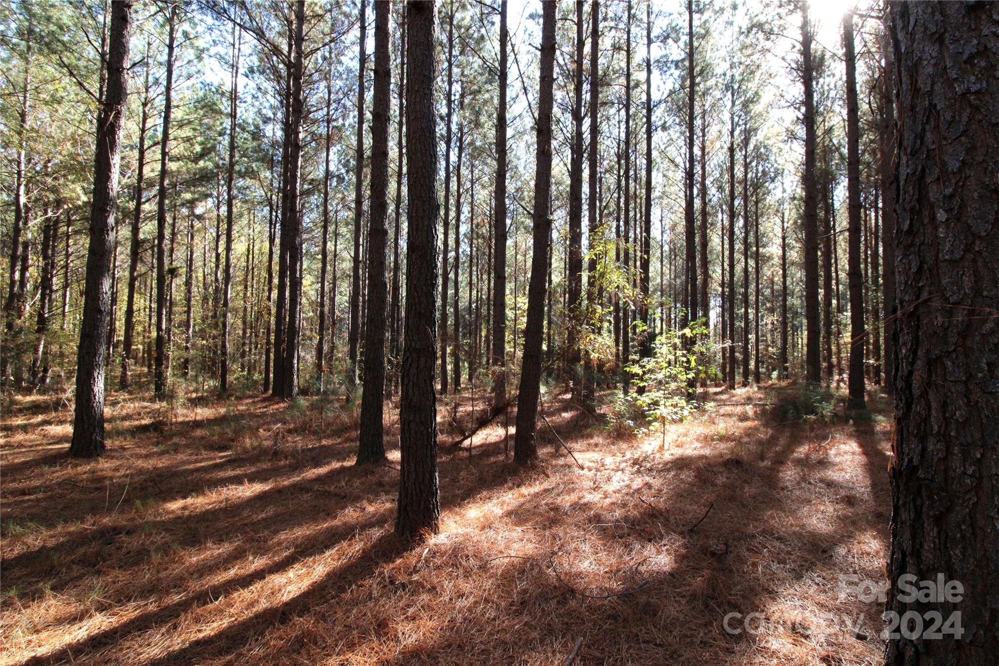 7-ac Lot 1 7-ac Road Clover, SC 29710 - Photo 3 of 7