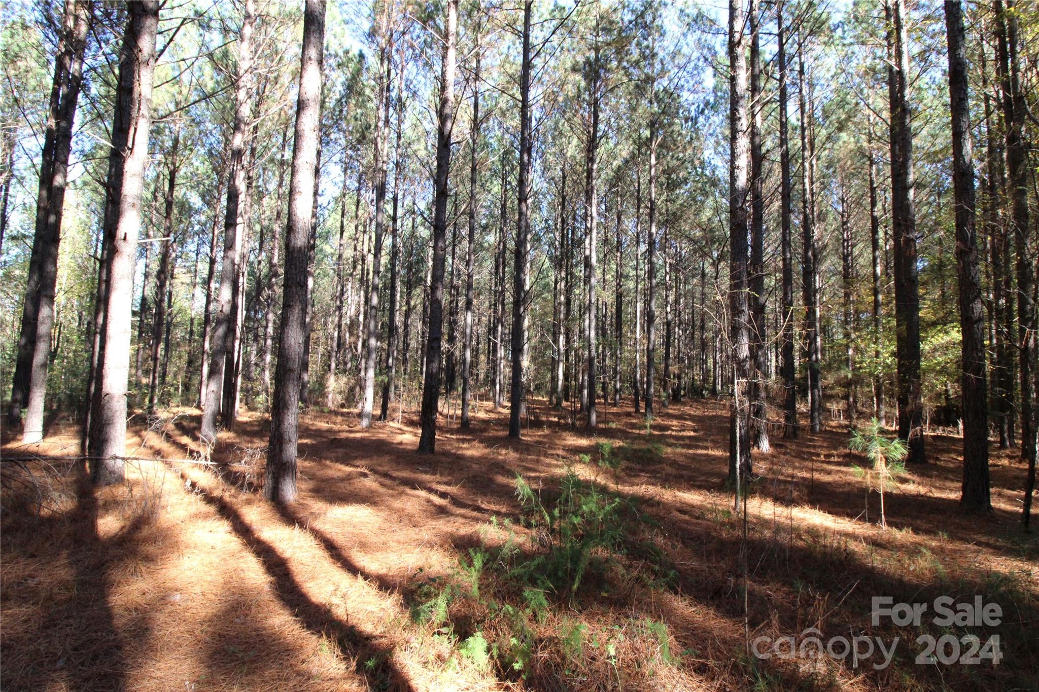 7-ac Lot 1 7-ac Road Clover, SC 29710 - Photo 4 of 7