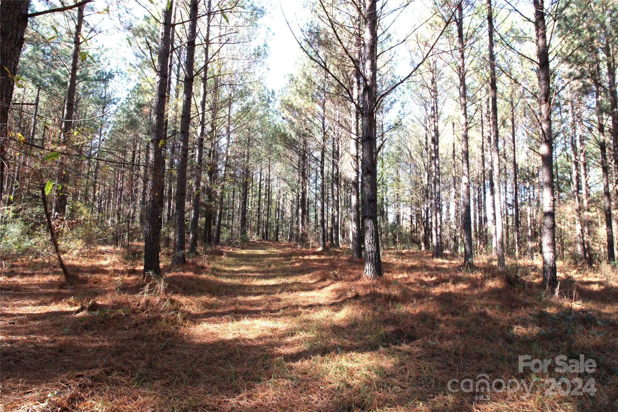 7-ac Lot 1 7-ac Road Clover, SC 29710 - Photo 5 of 7