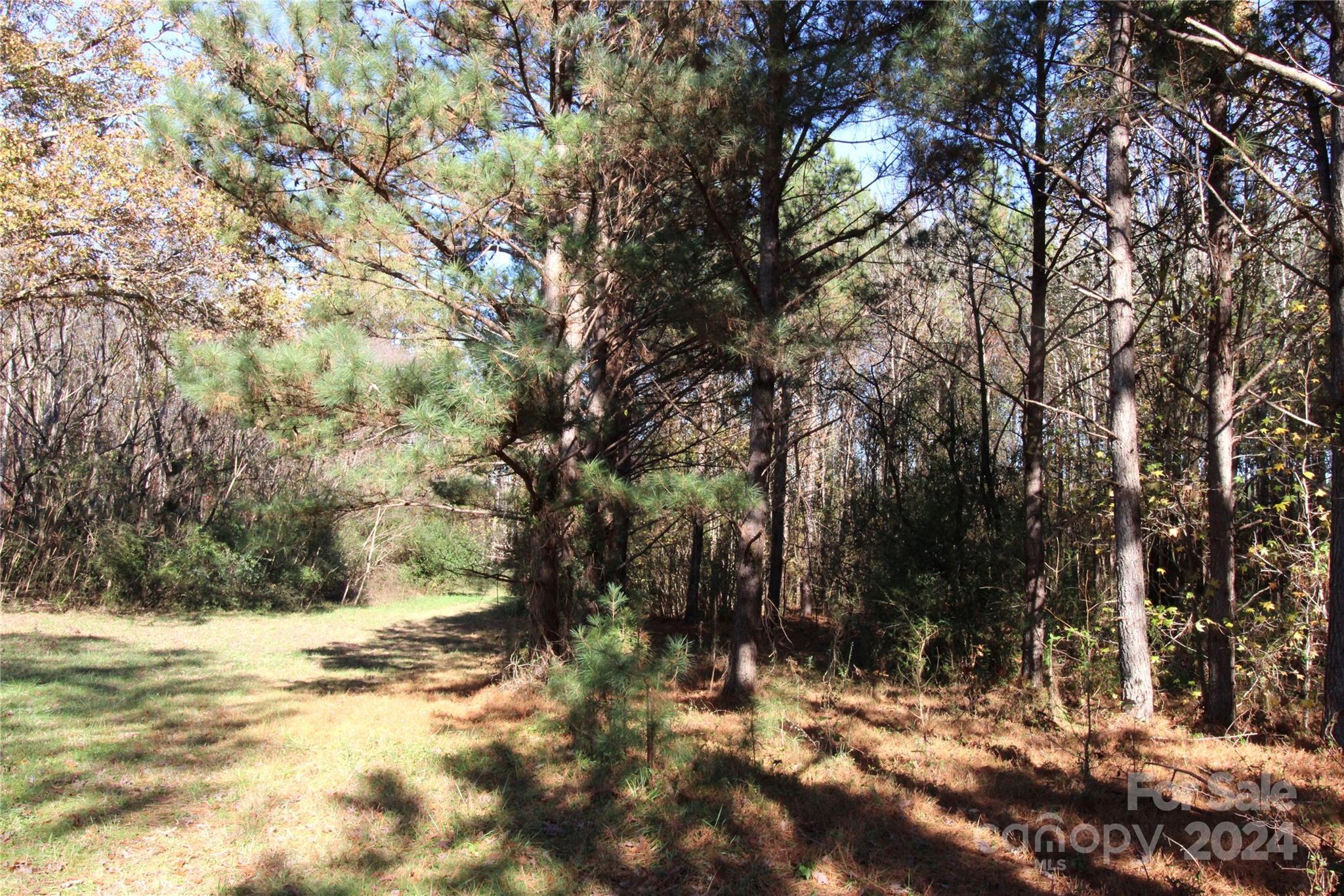 7-ac Lot 1 7-ac Road Clover, SC 29710 - Photo 6 of 7