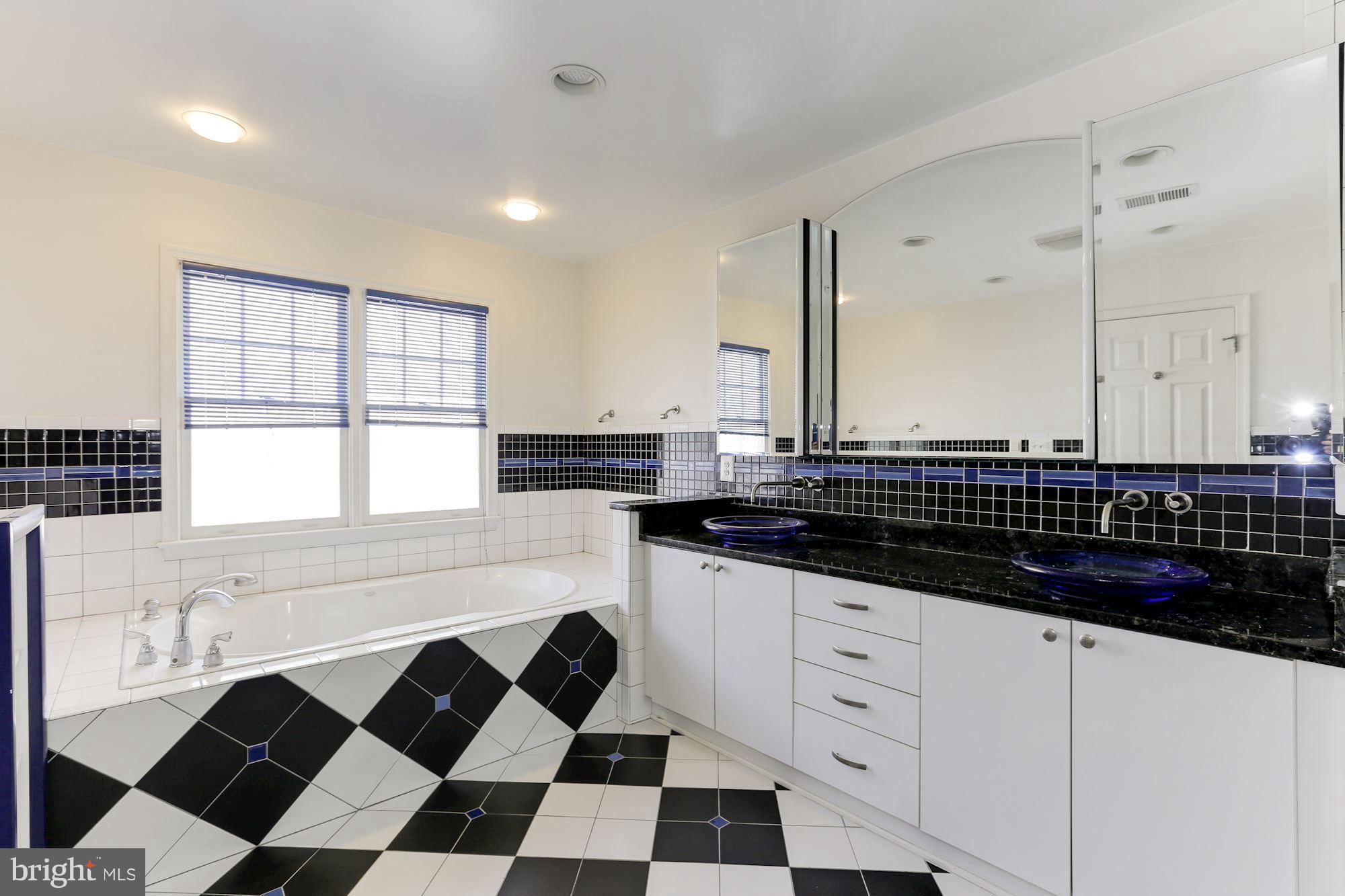 2201 South Glebe Road Arlington, VA 22206 - Photo 14 of 28 Bath (Master)
