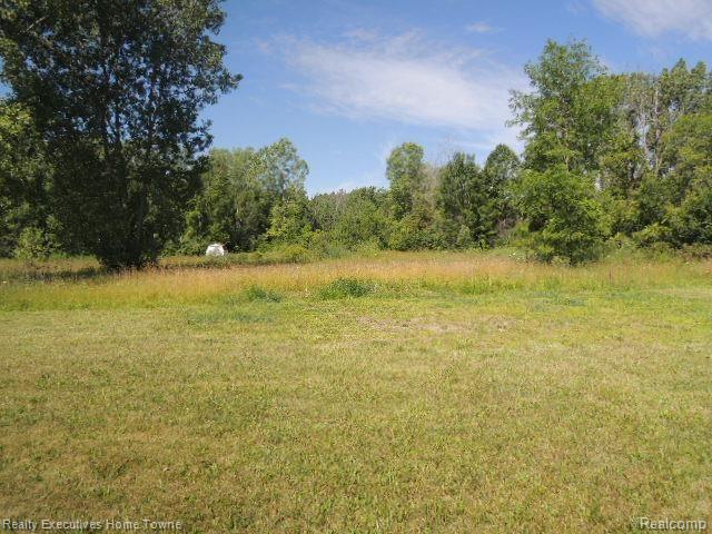 871 Allen Road Smiths Creek, MI 48074 - Photo 3 of 13 FHA Case # 261-950848 Back yard angle 2.jpg