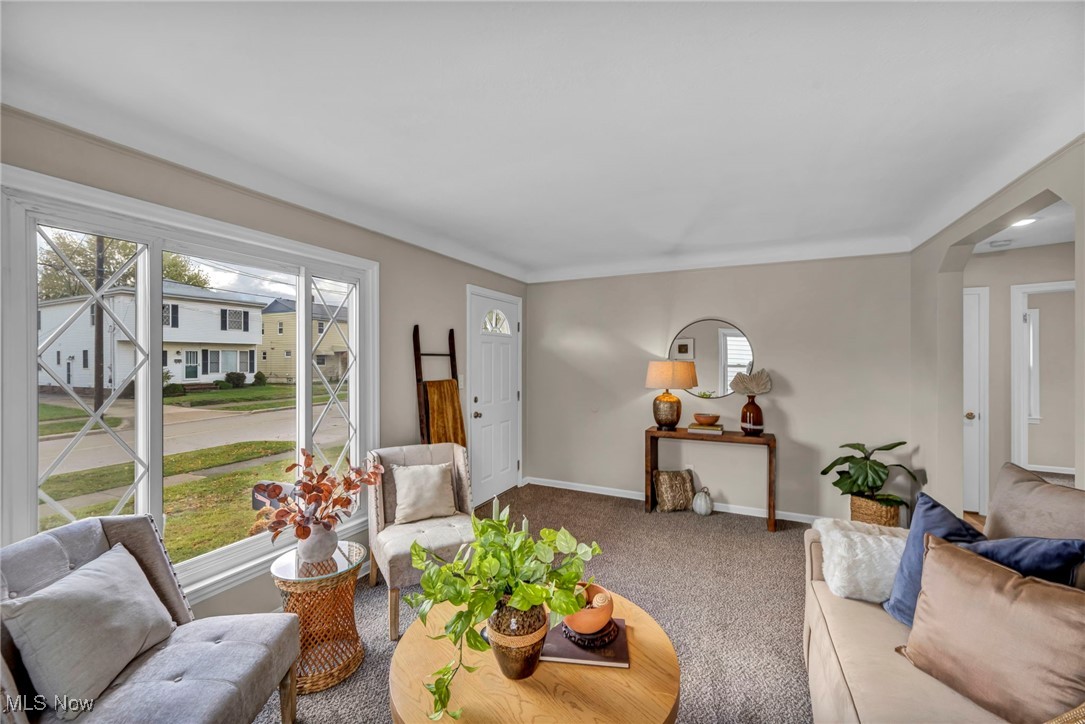 1560 Douglas Road Wickliffe, OH 44092 - Photo 10 of 39 Living room with baseboards and carpet floors