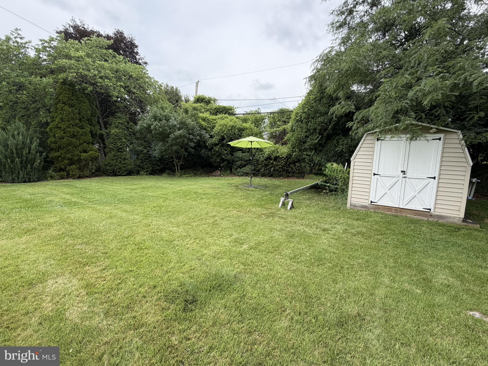 217 Lyster Road Oreland, PA 19075 - Photo 7 of 11 Lush green oasis with a cozy shed.